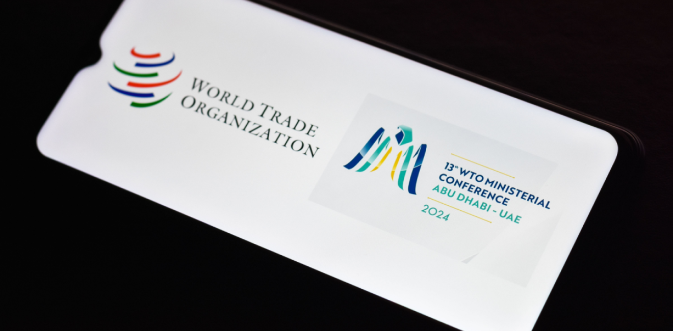 WTO and 13th Ministerial Conference Logo