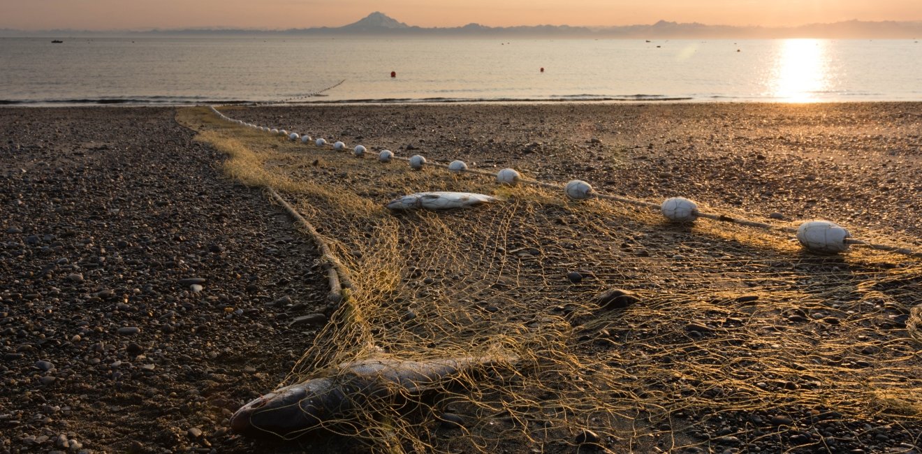 Alaska’s Fisheries, and Those Who Depend on Them, Are in a Sea of ...