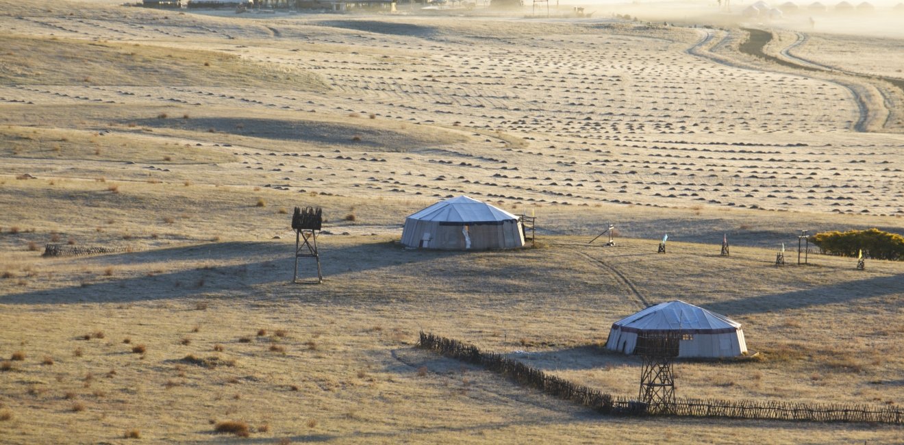 Chinese Grassland