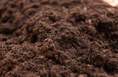 Pile of soil