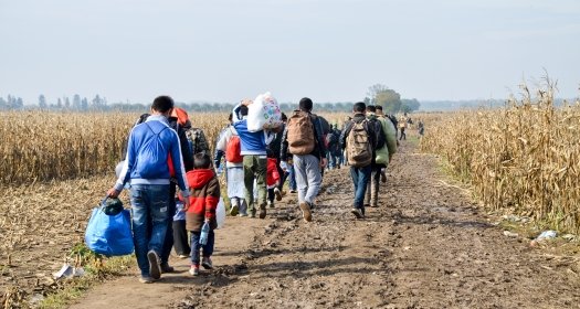 Syrian refugees crossing the border between Serbia and Croatia