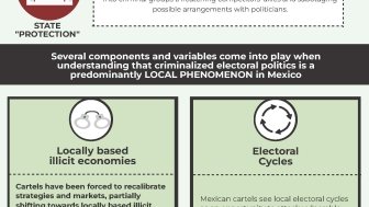 Organized Crime & Political Violence MX - Infographic.jpg