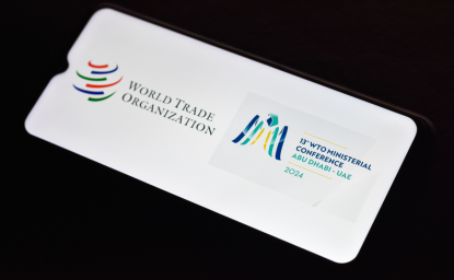 WTO and 13th Ministerial Conference Logo