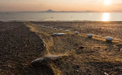 Seine net on beach