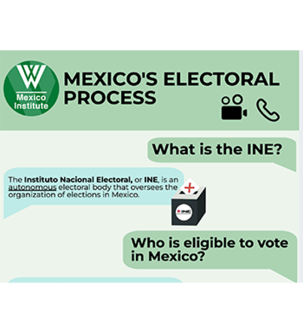 Mexico's Electoral Process Screengrab