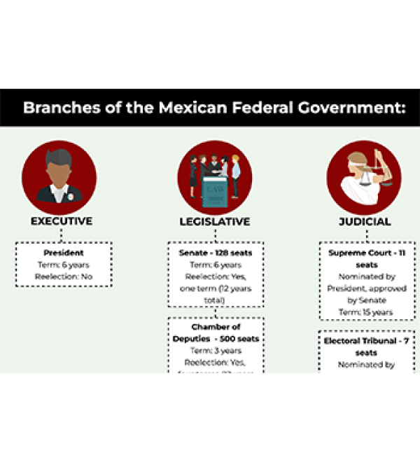 Mexican Branches of Government - screengrab