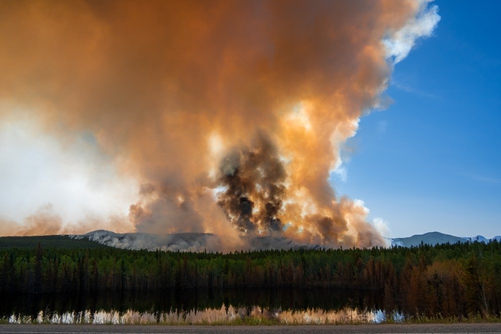 Where There's Smoke Early Warnings from Canada’s 2024 Wildfire season