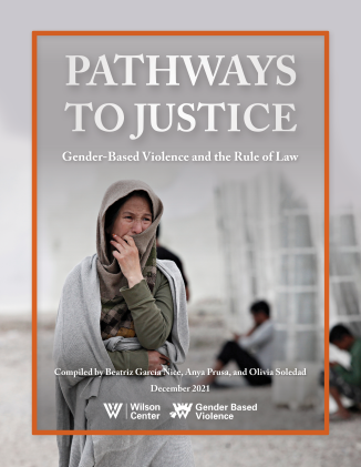 Image - Pathways to Justice Cover