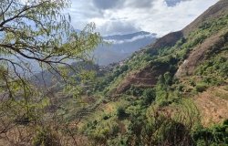 Miaomiao (Mira) Qi- China's Mountain Farmers