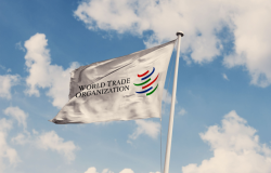 WTO Flag