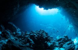 Rays of sunlight illuminate an underwater cave.