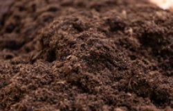 Pile of soil